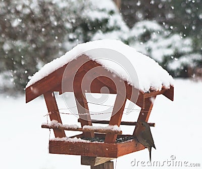 birdhouse in winter, detail of feeding titmice Stock Photo