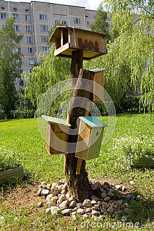 Birdhouses and a bird feeder in the garden in the courtyard of a multi-storey building Stock Photo