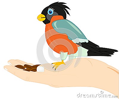 Birdie on palm of the person Stock Photo