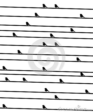 Birdies on a wire. Vector Illustration