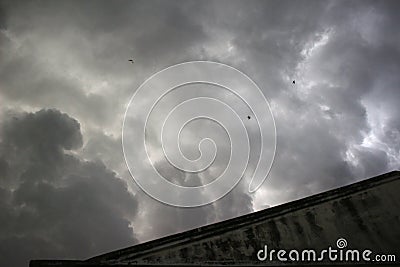 birds on the background of thunderclouds Stock Photo