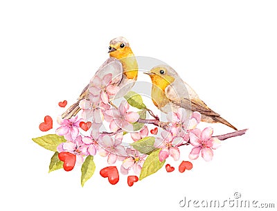 Birds on blossom branch with flowers. Watercolour Stock Photo
