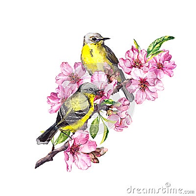 Birds on blossom branch with pink apple, cherry flowers sakura . Watercolor flowering tree Stock Photo