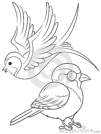 Birds Coloring Page Stock Photo