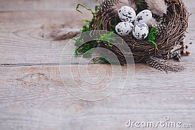 Birds eggs in nest on rustic wooden background, Easter concept postcard Stock Photo