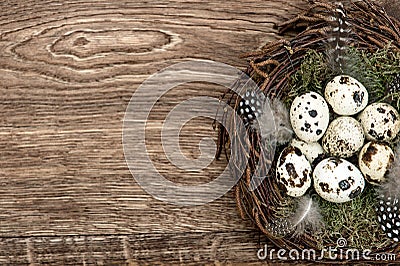 Birds eggs in nest on rustic wooden background Stock Photo