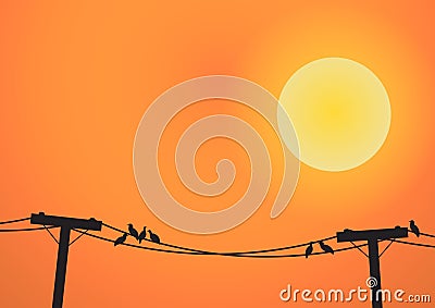 Birds on electricity post before sun set Vector Illustration