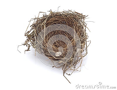 Birds empty nest Stock Photo