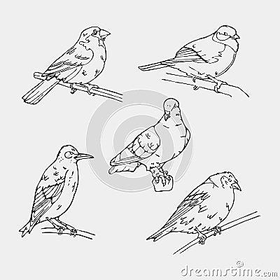 Birds engraved style. Stamp, seal. Simple sketch. Vector Illustration