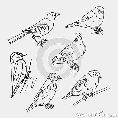 Birds engraved style. Stamp, seal. Simple sketch. Vector Illustration