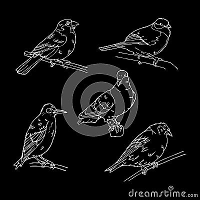 Birds engraved style. Stamp, seal. Simple sketch. Vector Illustration