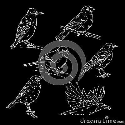 Birds engraved style. Stamp, seal. Simple sketch. Vector Illustration