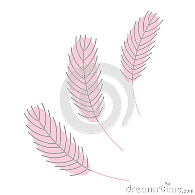 Chicken feather. Design for Easter, Christmas Vector Illustration