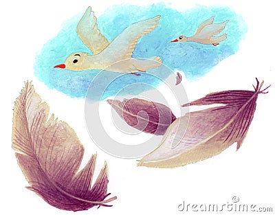 Birds and feathers Stock Photo
