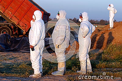 Birds Flu Outbreak Editorial Stock Photo