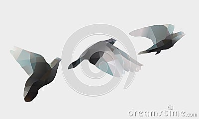 Birds fly on white Vector Illustration