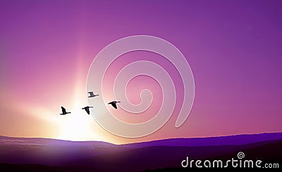 Birds flying against purple landscape in the background Stock Photo