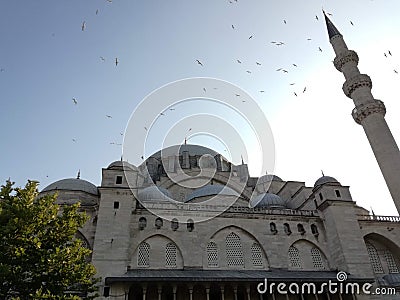 Birds Flying around the minaret of Soliman Mosque Istanbul Turkey Editorial Stock Photo