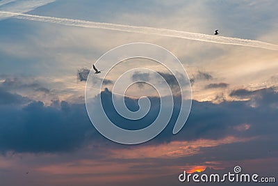 Birds Flying in Cloudy Sky with Crimson Sunrise behind the Alps Stock Photo