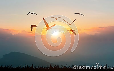 Birds flying freedom on the mountains and sunlight Stock Photo