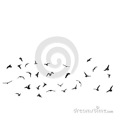 Birds, gulls, black silhouette on white background Vector Illustration