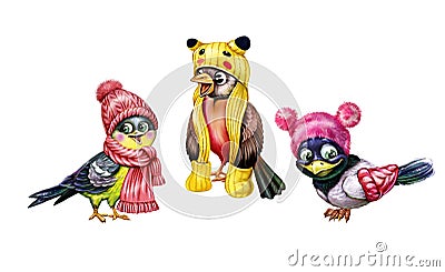 Birds in hats and scarves Stock Photo