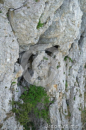 Birds houses from the nivolet cliff Stock Photo