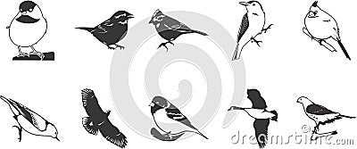 Birds icons set Vector Illustration