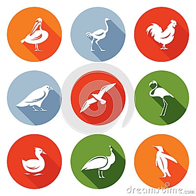 Birds Icons Set. Vector Illustration Vector Illustration