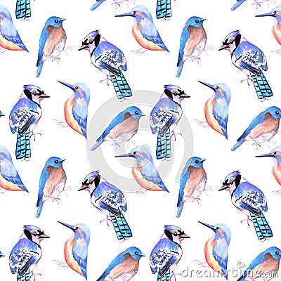 Birds kingfisher, bluejay, bluebird in tints and shades of blue seamless watercolor background Stock Photo