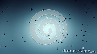 Birds migrating sky Stock Photo