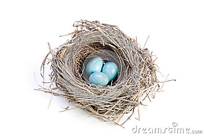 Birds Nest on White Stock Photo