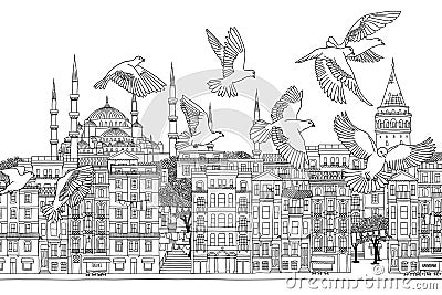 Birds over Istanbul Vector Illustration