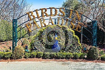 Birds in Paradise sign made from plants Editorial Stock Photo
