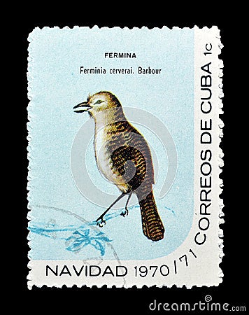 Birds on postage stamps Editorial Stock Photo