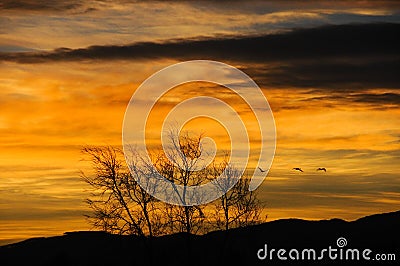 Birds and red cloud in Nianhu Lake Stock Photo