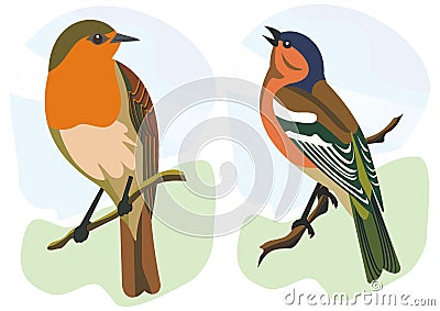 Birds robin and finch Vector Illustration