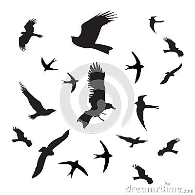 Birds silhouette black on white background Stock Photo