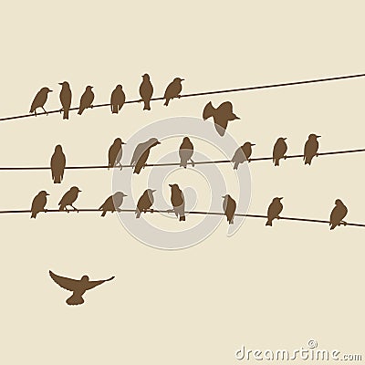 Birds silhouette on wires Vector Illustration