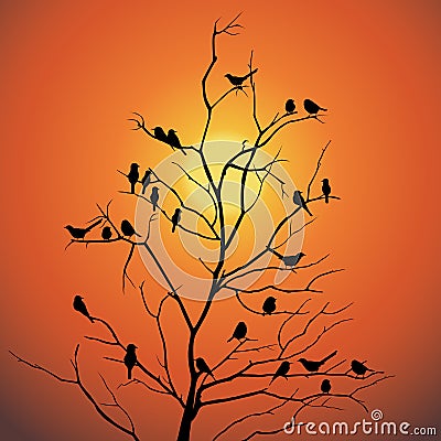 Birds and tree branch backlit sunlight vector design Vector Illustration