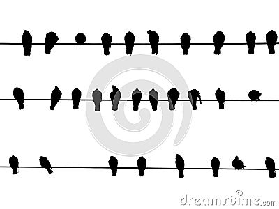 Birds On a Wire Stock Photo