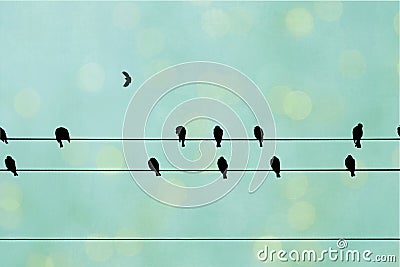 Birds on a wire. Stock Photo