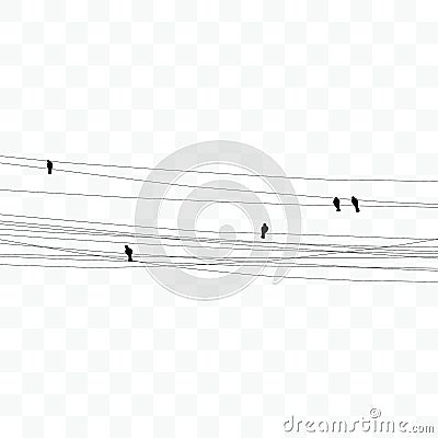 birds on wires transparent background Vector Illustration
