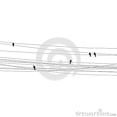 Birds on wires white background Vector Illustration