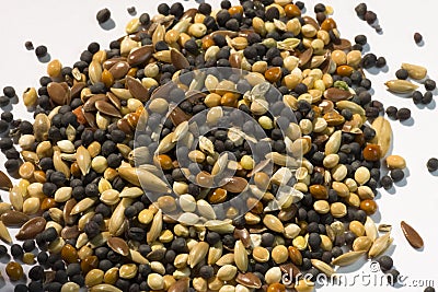 Birdseed Stock Photo