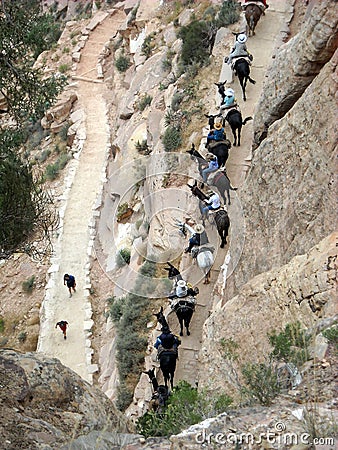 Birdseye View of a Grand Canyon Trail Editorial Stock Photo