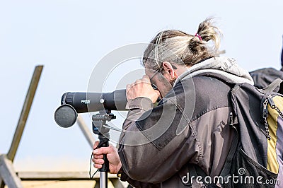 Birdwatcher Editorial Stock Photo