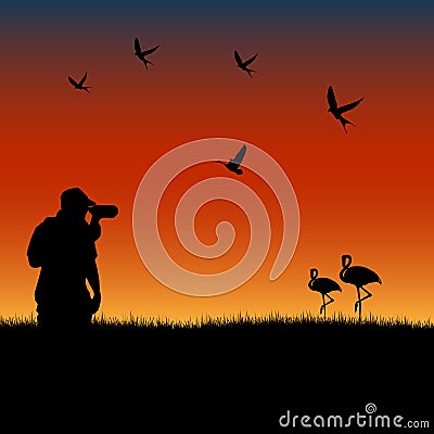 Birdwatching at sunset Vector Illustration