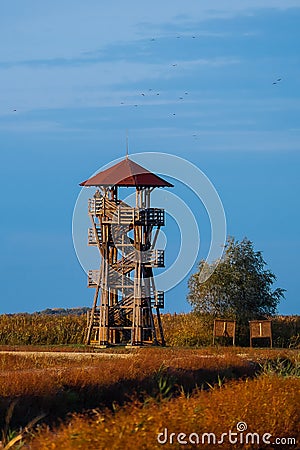 Birdwatching observation tower, Hortobagy National Park. Hungary Stock Photo