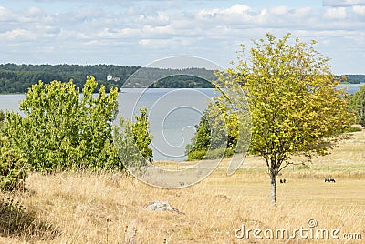 Birka world heritage site Sweden Stock Photo